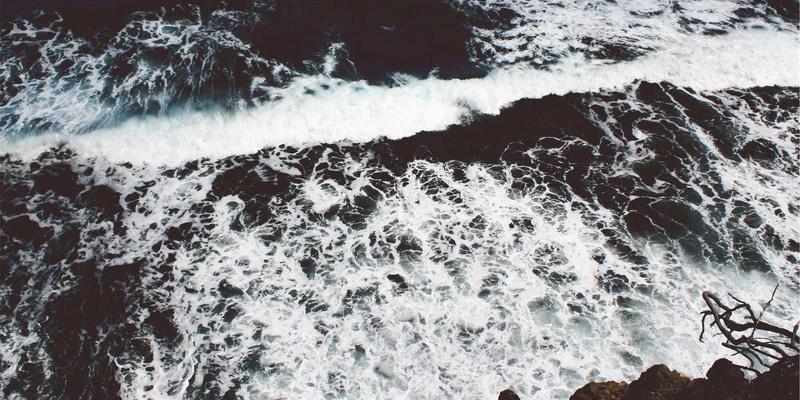 淘宝健身装备选购秘籍：在省钱购物与专业品质间找到完美平衡