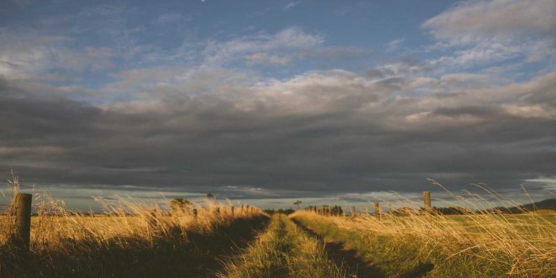 淘宝内部优惠券怎么找？资深导购揭秘隐藏省钱技巧，轻松获取淘宝折扣