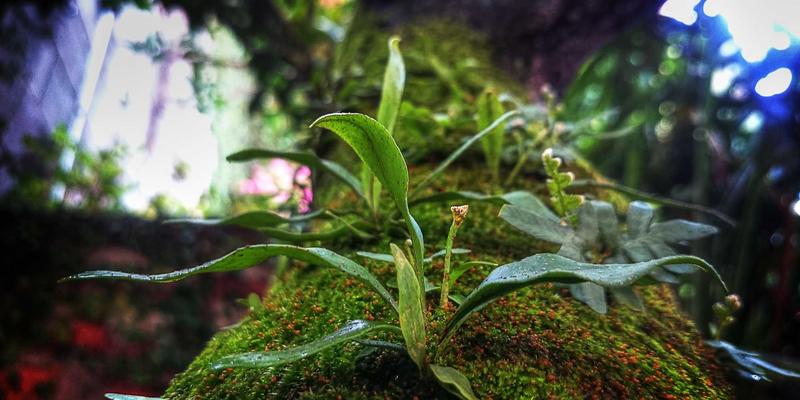 淘宝国潮服饰深度导购：精选融合传统与现代的高性价比店铺，附折扣优惠攻略