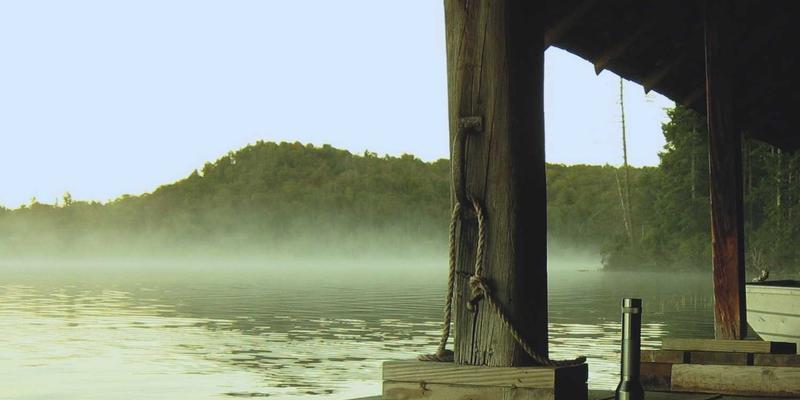 淘宝大码女装选购全攻略：巧用淘宝优惠券与折扣，省钱购物显瘦又时尚