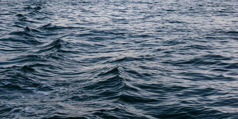 淘宝宠物用品省钱攻略：猫狗主粮、智能玩具与清洁用品精选指南