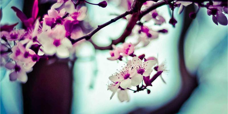 淘宝导购44：揭秘爱淘宝省钱购物秘籍，轻松获取隐藏淘宝折扣