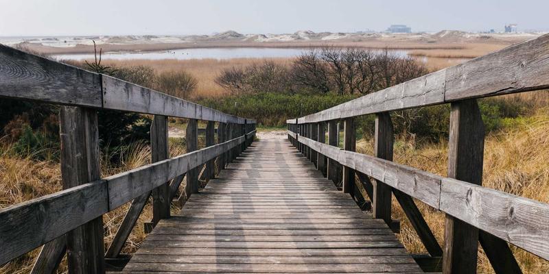 淘宝导购6:解锁省钱购物新境界,让爱淘宝成为智慧消费