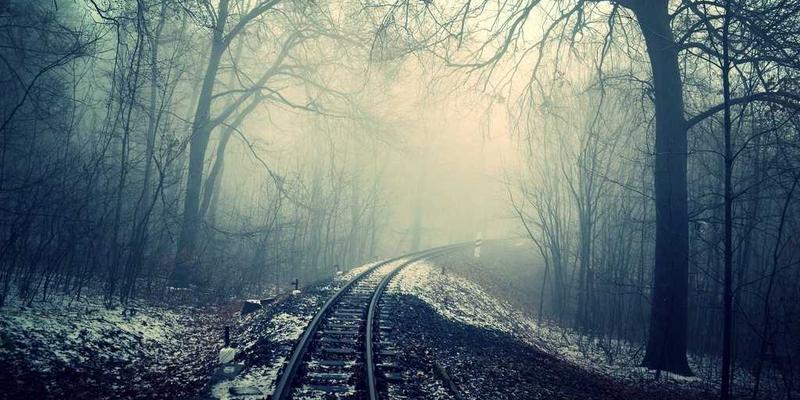 淘宝导购81:解锁淘宝折扣与省钱购物的终极秘籍,爱淘宝更会淘