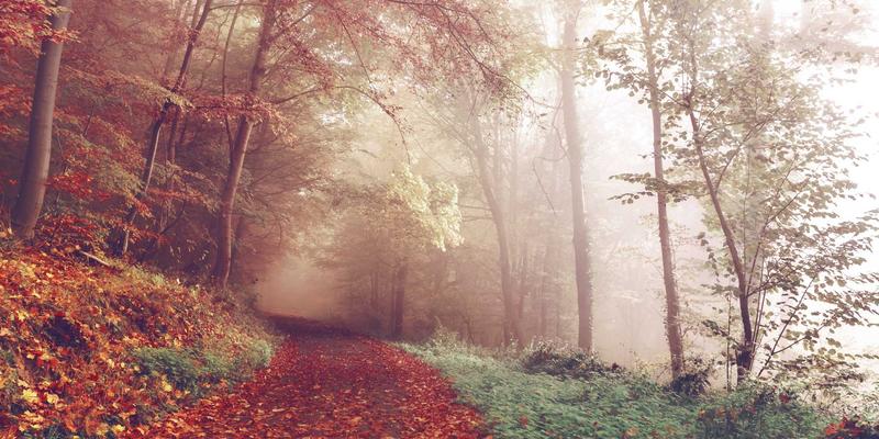 淘宝导购94：解锁省钱购物新姿势，淘宝优惠券使用全攻略