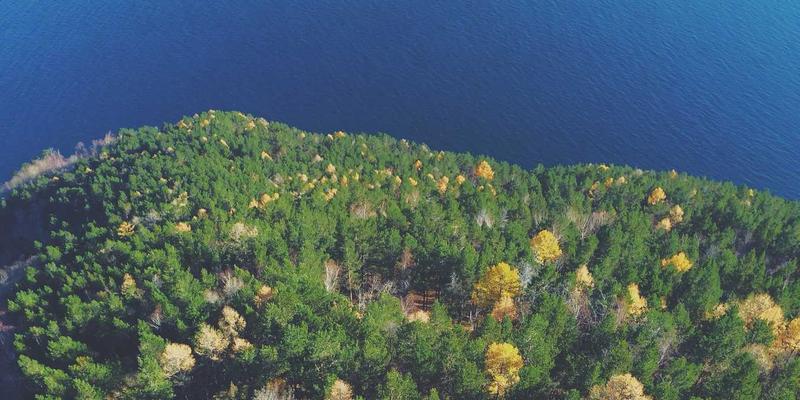 淘宝导购全攻略：解锁隐藏折扣，开启省钱购物新时代