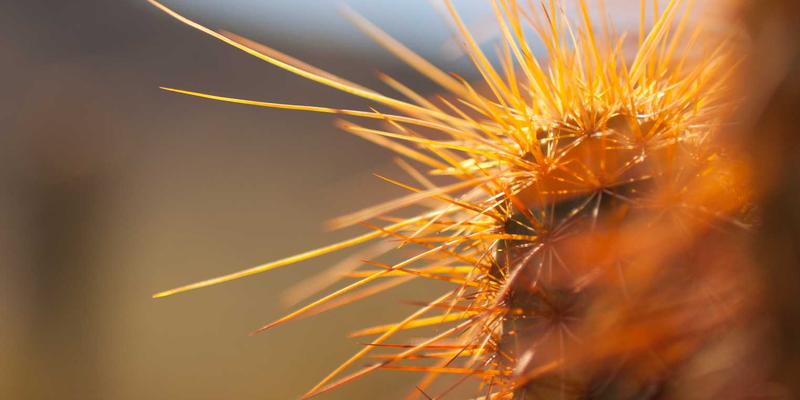 爱淘宝92:解锁淘宝折扣与省钱购物的终极导购指南