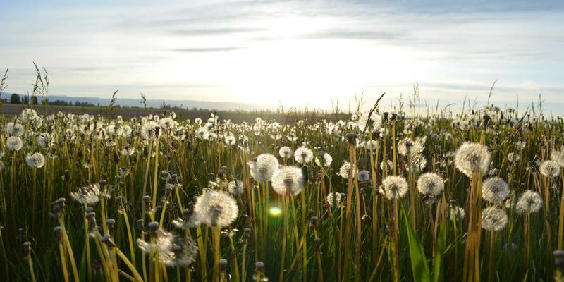 爱淘宝数码选购全攻略：巧用淘宝折扣与优惠券，避开陷阱选正品